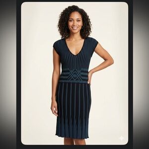 Max Studio Black and Navy V-Neck Midi Knit Dress